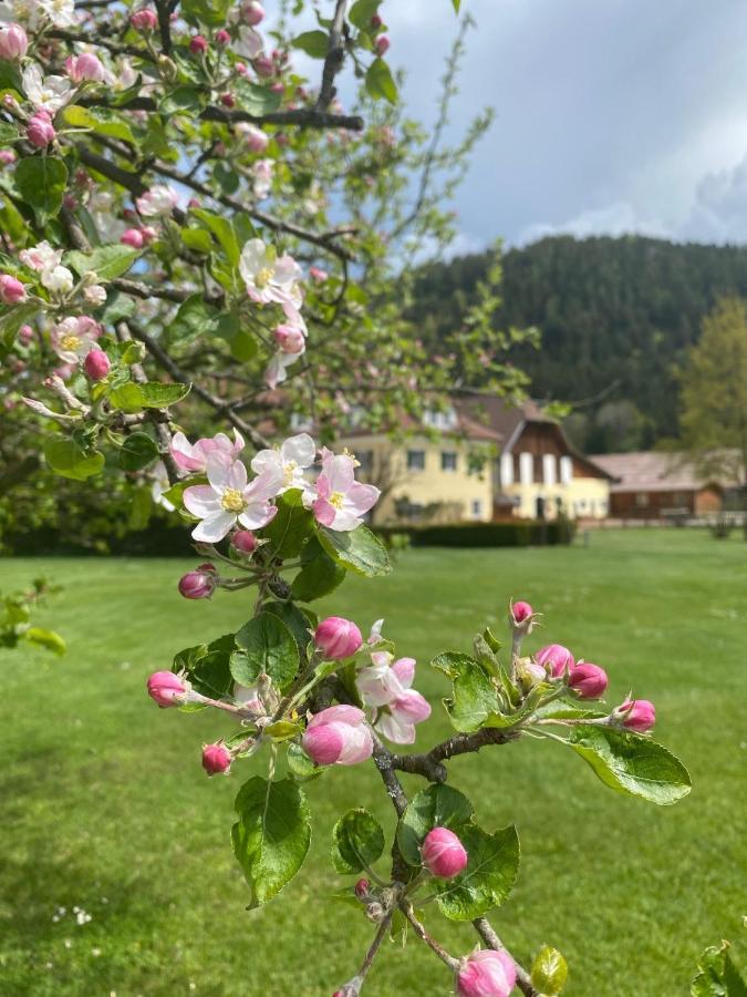 Hotel Dienstl Gut Launsdorf Dış mekan fotoğraf